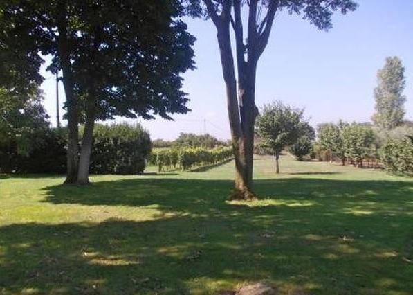 Capo Di Bove
